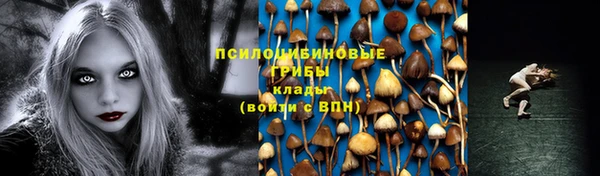 прущие крисы Арсеньев