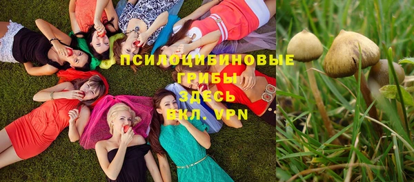 трава Армянск