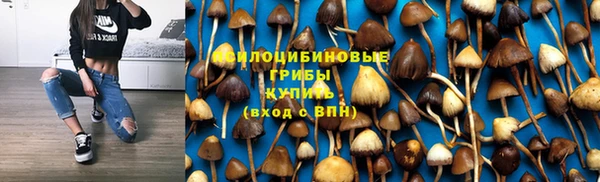 трава Армянск
