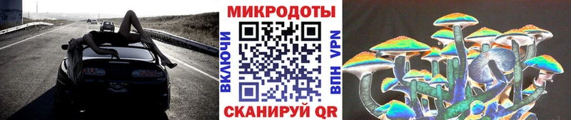 Псилоцибиновые грибы Psilocybe  Купить где  Куртамыш 