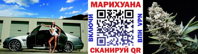 Канабис сатива  Купить где  Куртамыш 